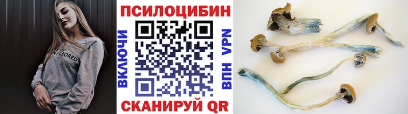 Галлюциногенные грибы мухоморы Тарко-Сале