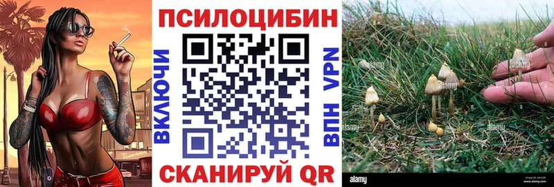 дарк нет наркотические препараты  Тарко-Сале  Галлюциногенные грибы прущие грибы 